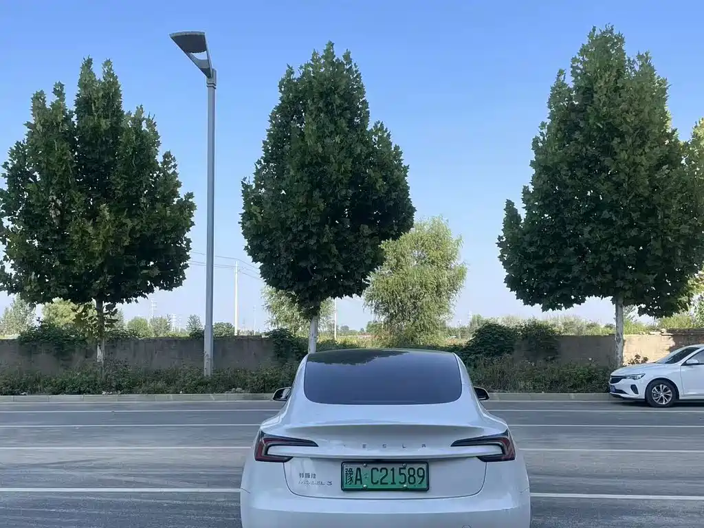 Tesla Model 3 — миниатюра 8