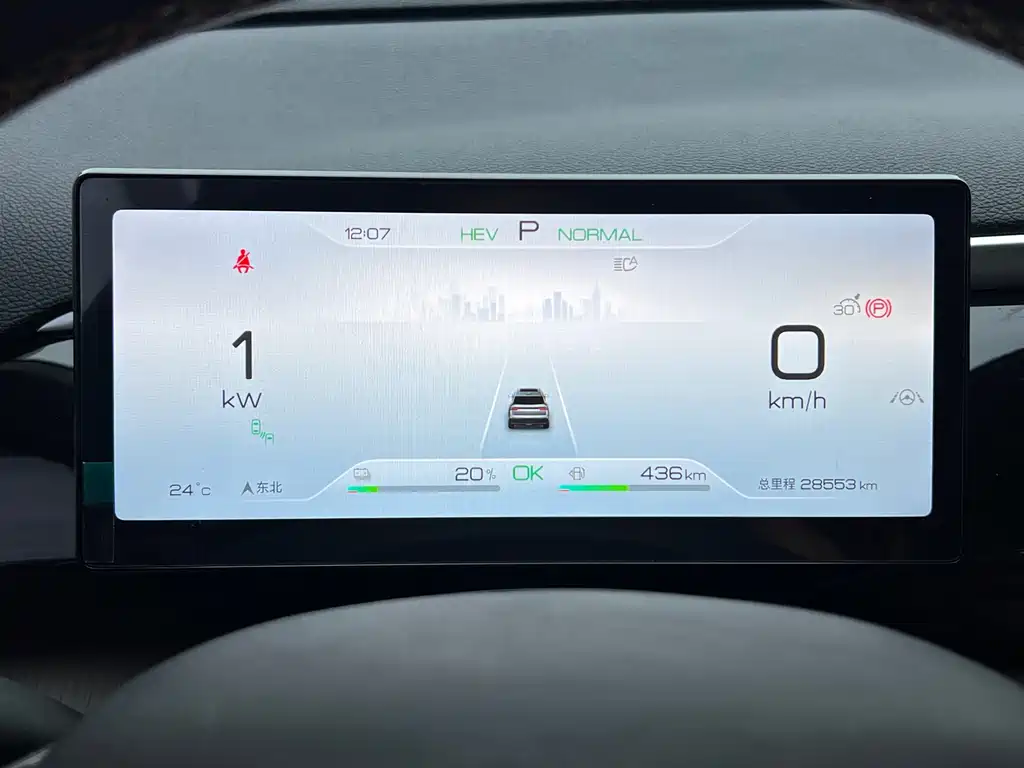 BYD Pro New Energy — миниатюра 10