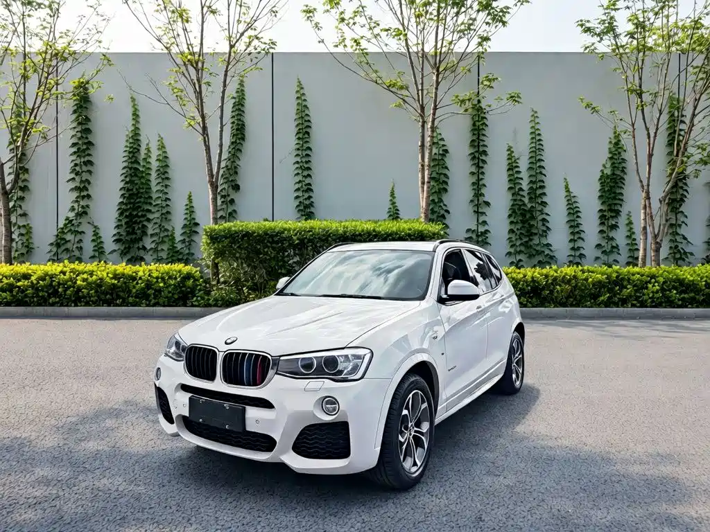 BMW X3 (Import) — миниатюра 2
