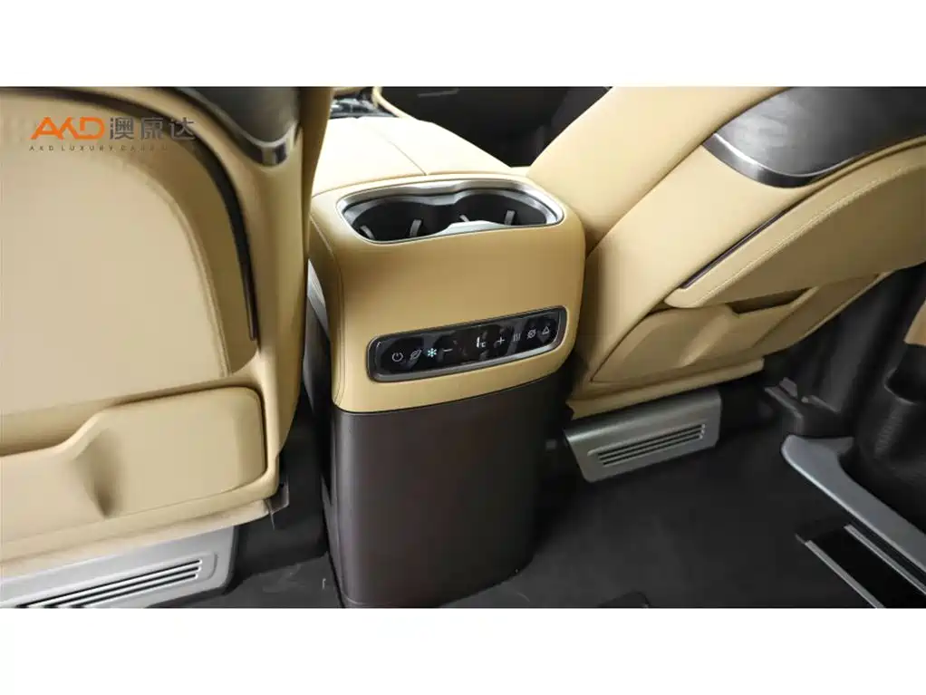 Denza Denza D9 — миниатюра 10