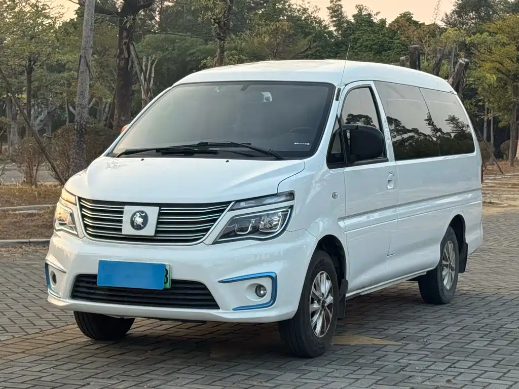 DONGFENG LINGZHI NEW ENERGY