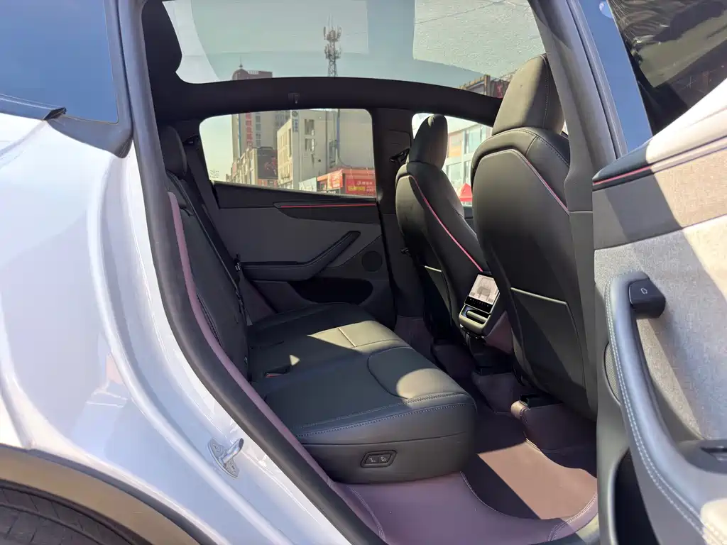 Tesla Model Y — миниатюра 13