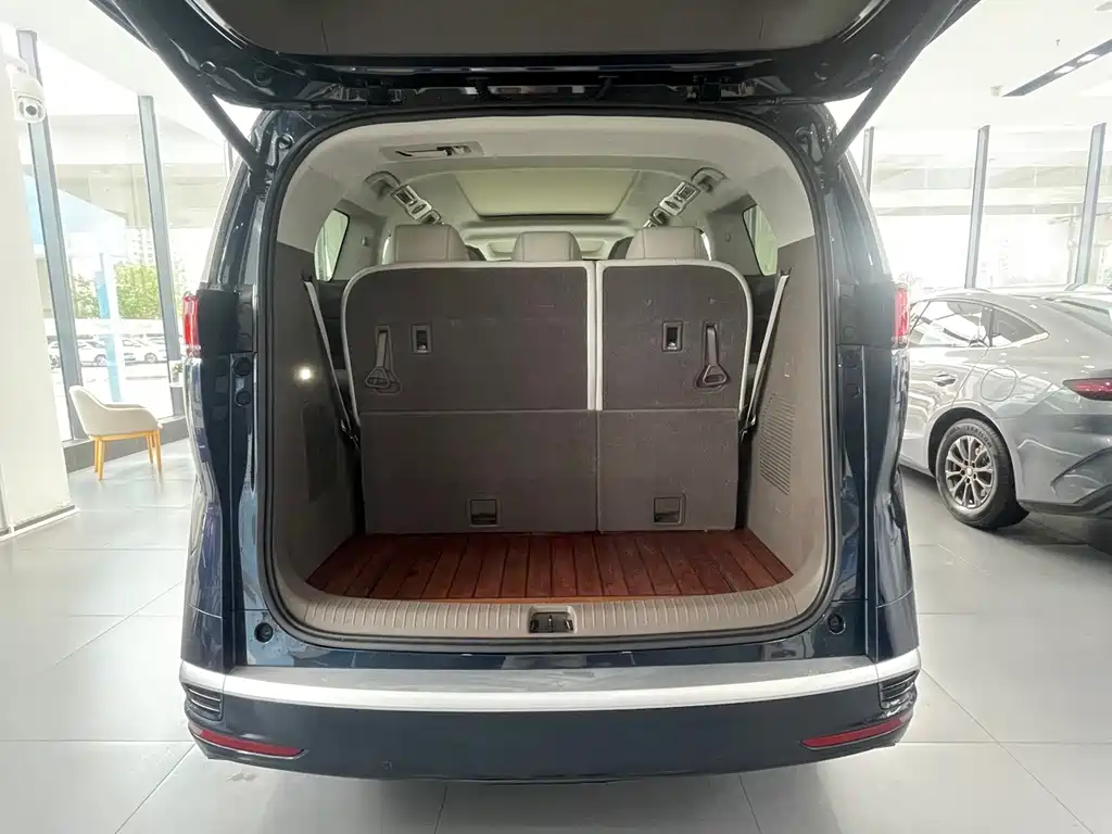Denza Denza D9 — миниатюра 15
