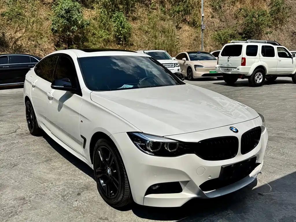 BMW 3 Series GT — миниатюра 3