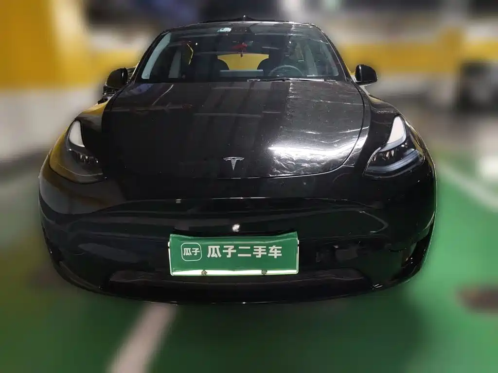 Tesla Model Y — миниатюра 2