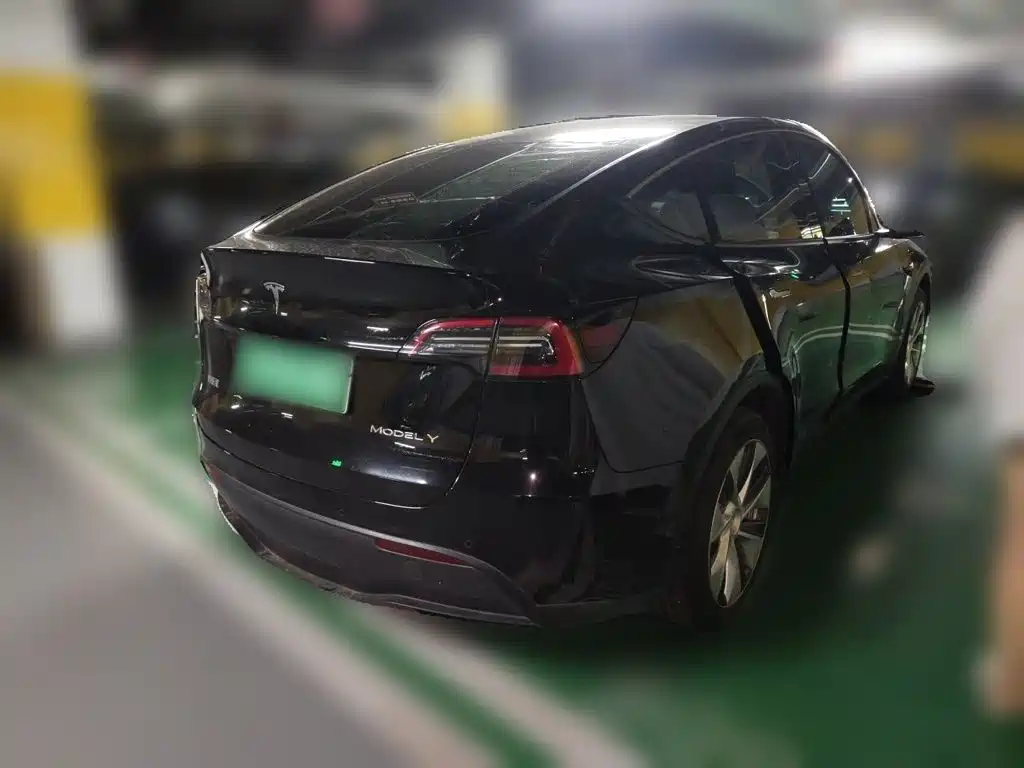 Tesla Model Y — миниатюра 4