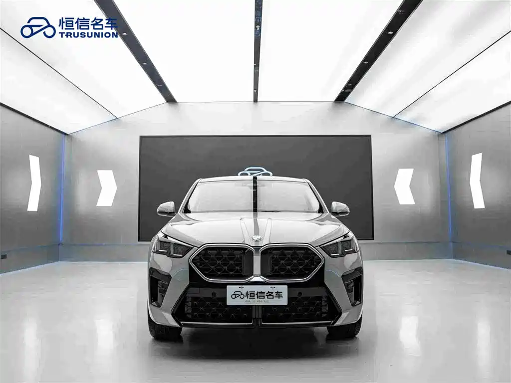 BMW X2 (Import) — миниатюра 2
