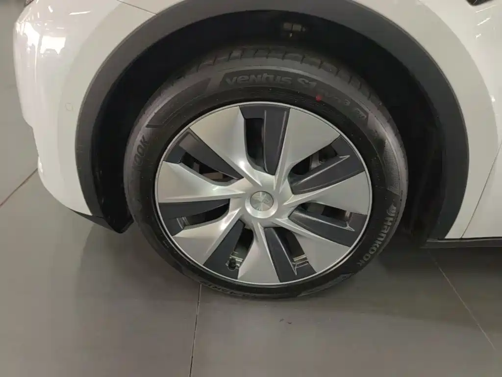 Tesla Model Y — миниатюра 23