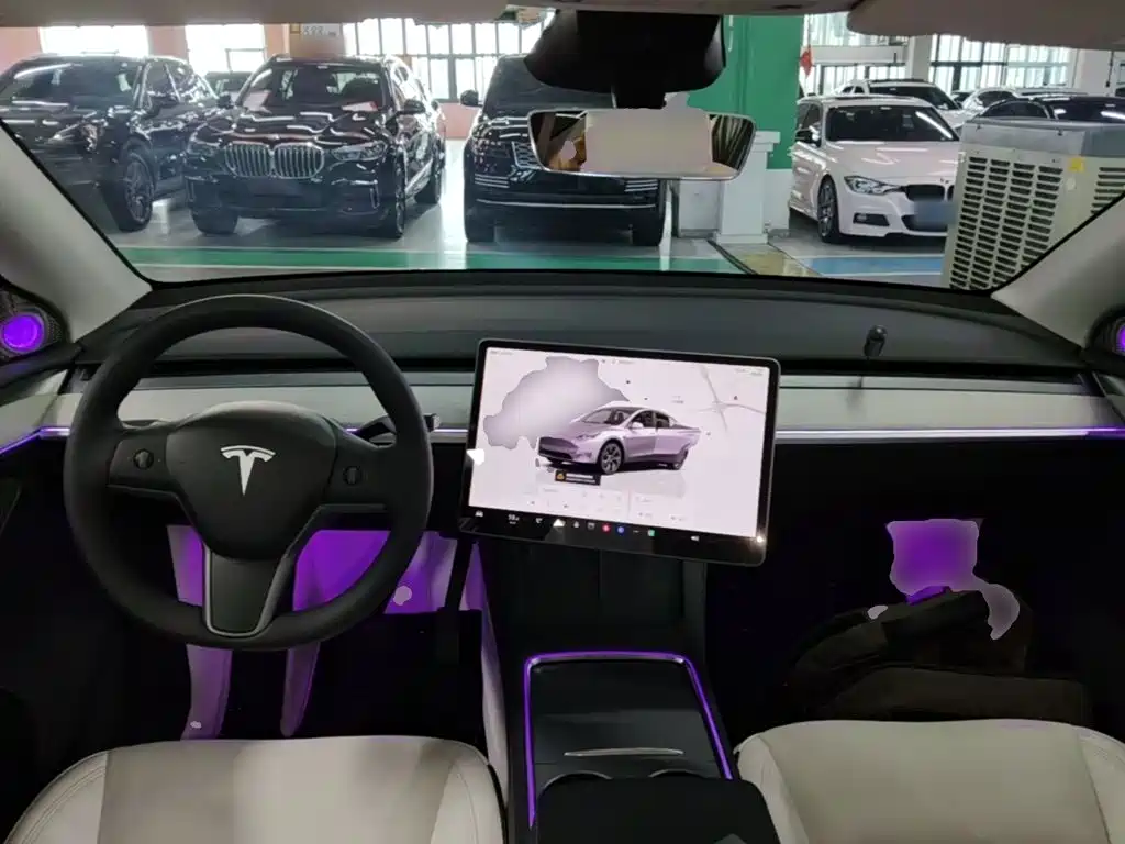 Tesla Model Y — миниатюра 10