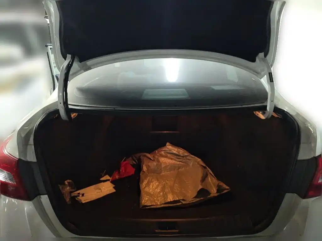 Nissan Sylphy — миниатюра 20