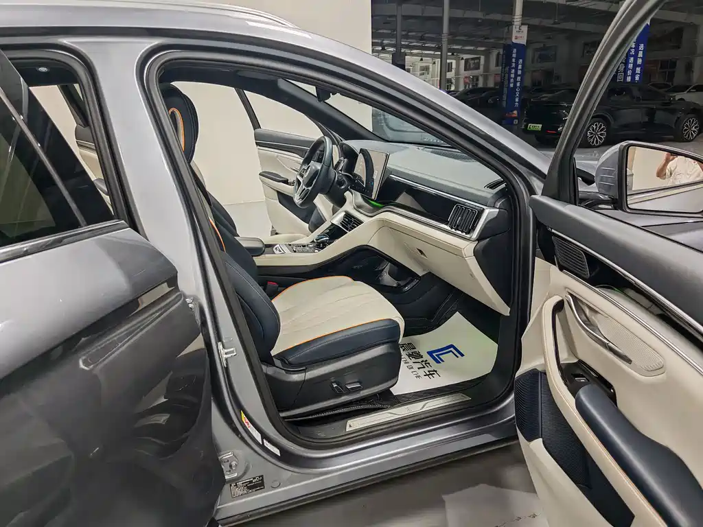BYD PLUS New Energy — миниатюра 10