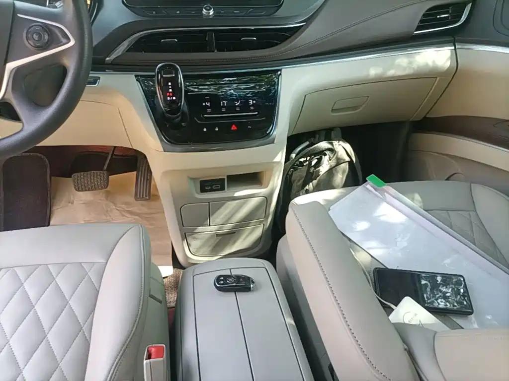 Buick GL8 — миниатюра 14