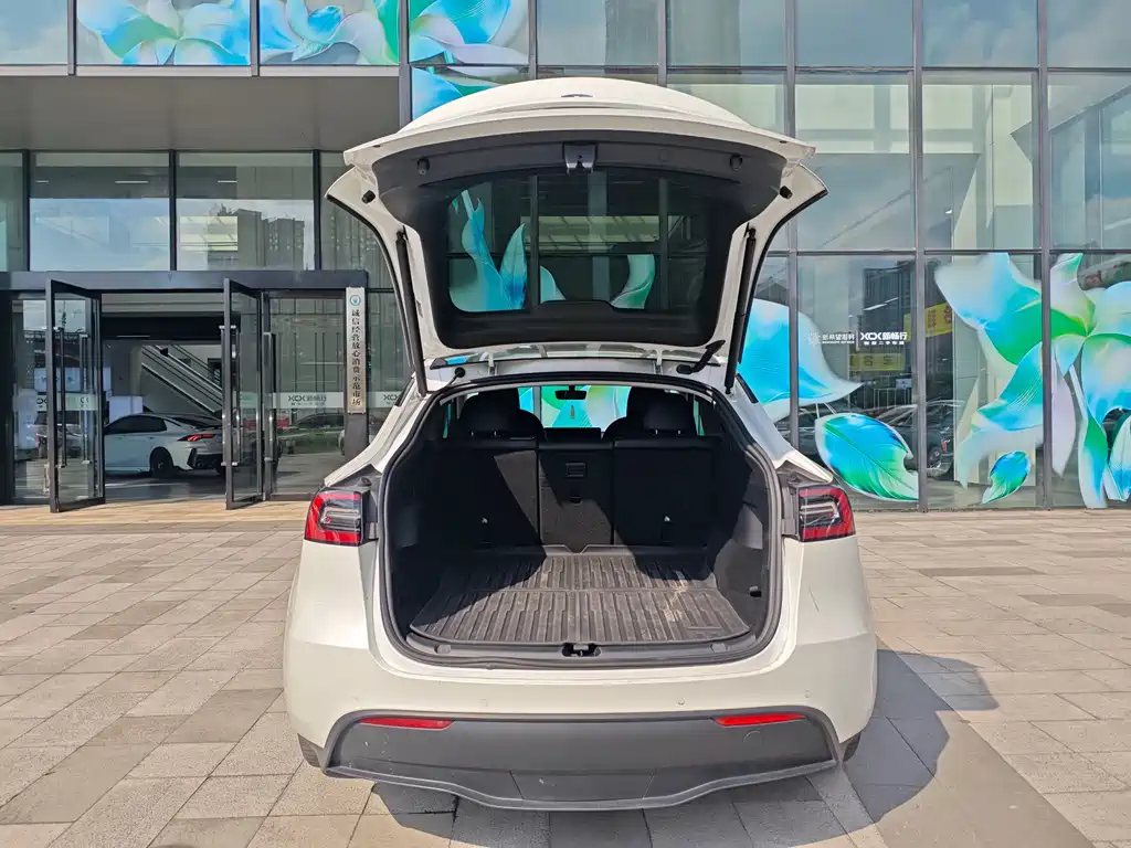 Tesla Model Y — миниатюра 29
