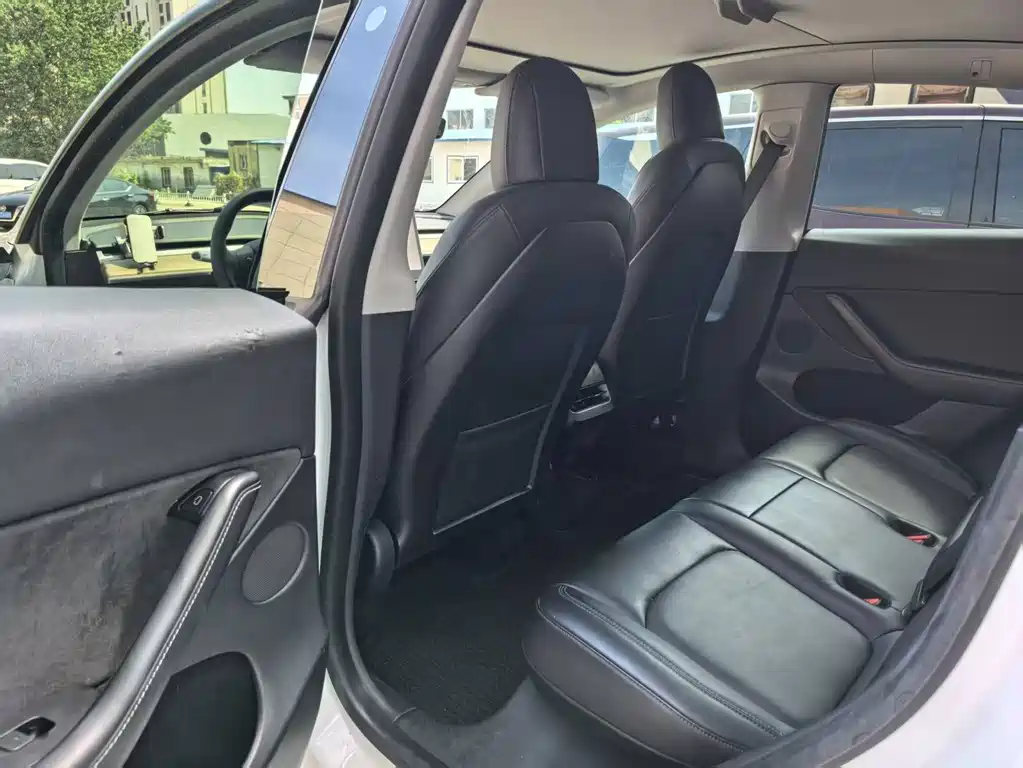 Tesla Model Y — миниатюра 10