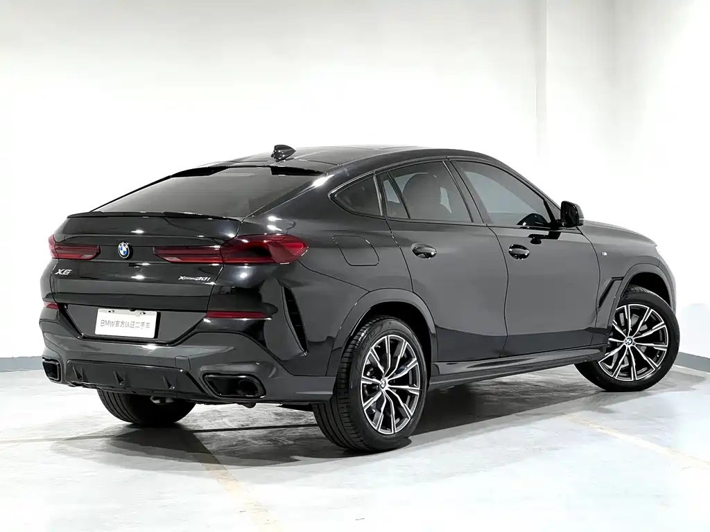 BMW X6 2022 xDrive30i M Sport