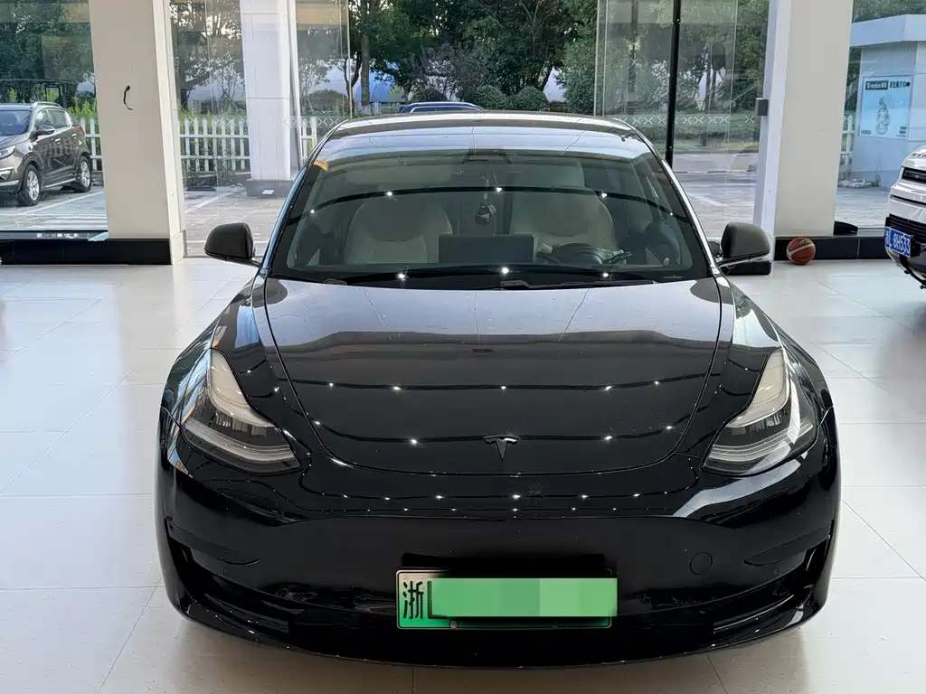 Tesla Model 3 — миниатюра 2