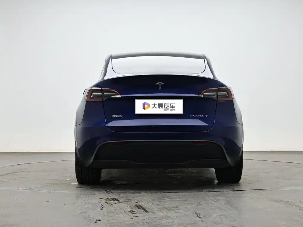 Tesla Model Y — миниатюра 4