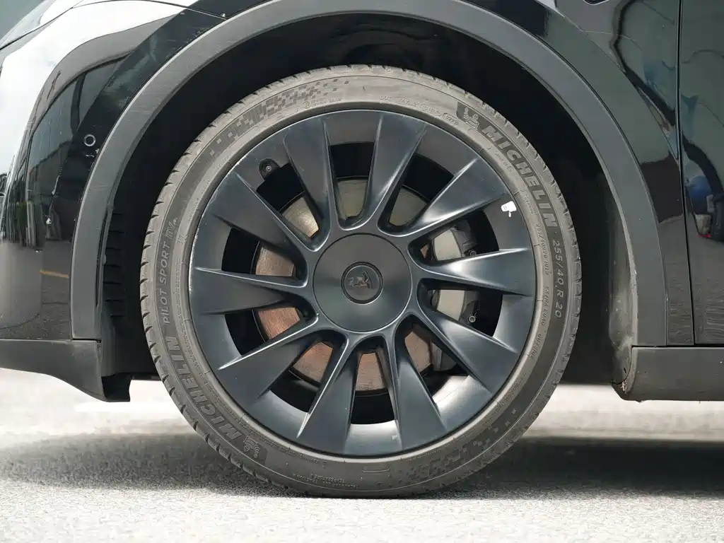 Tesla Model Y — миниатюра 3