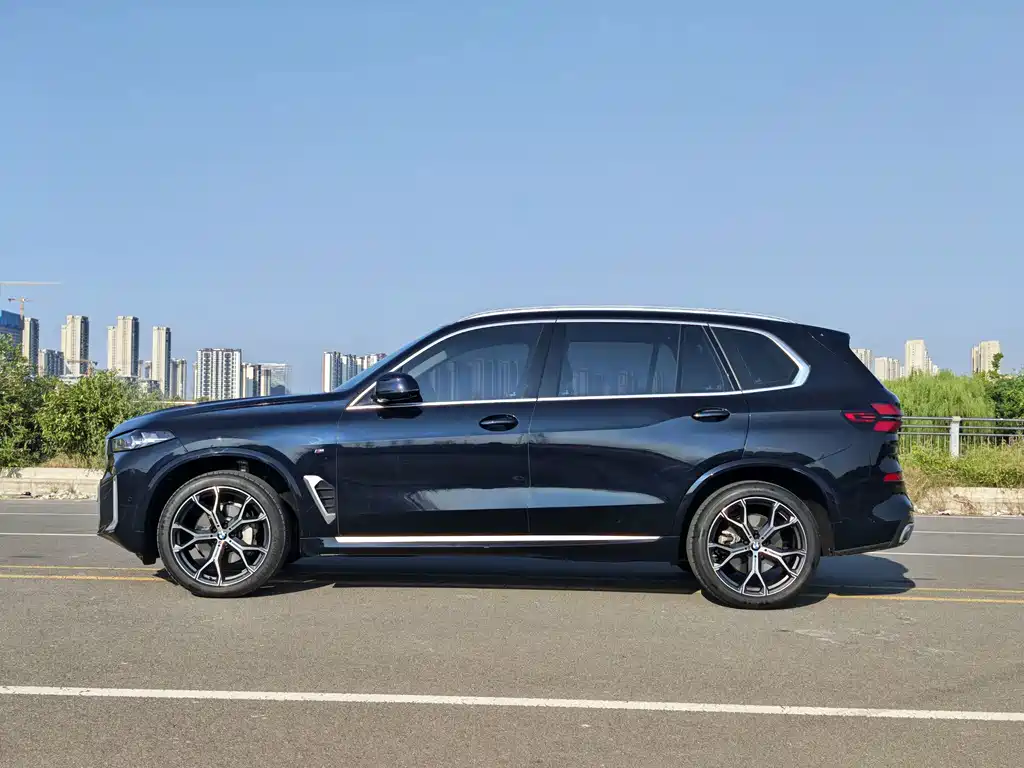BMW X5 — миниатюра 13