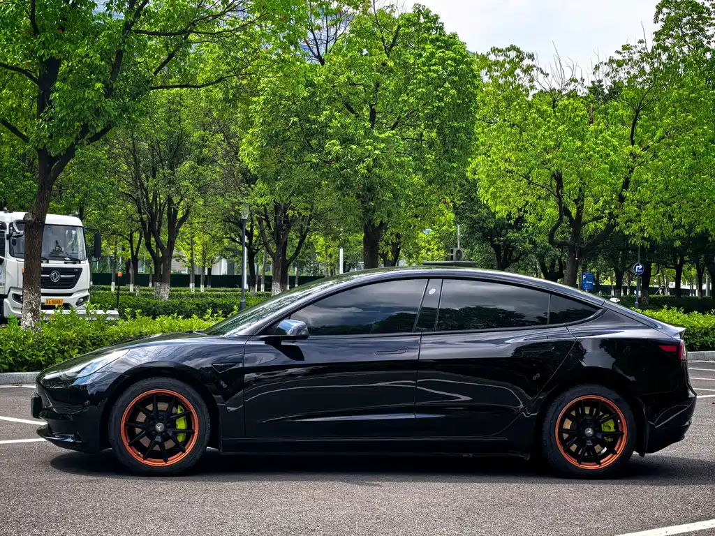 Tesla Model 3 — миниатюра 6