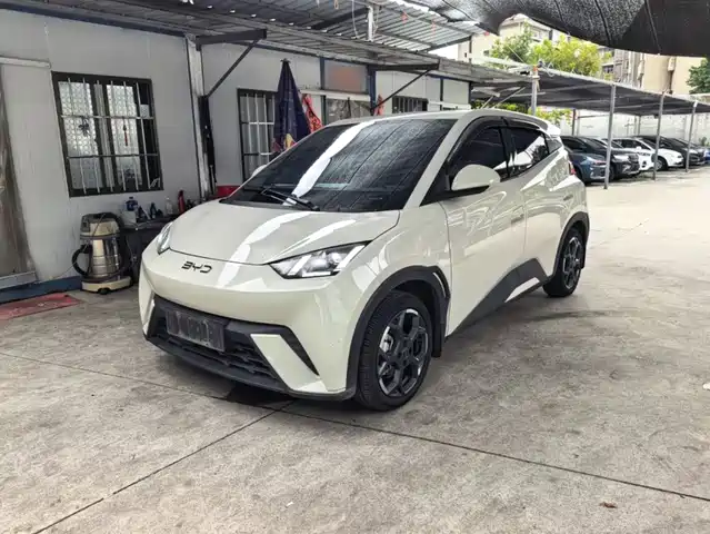 2024 BYD Seagull