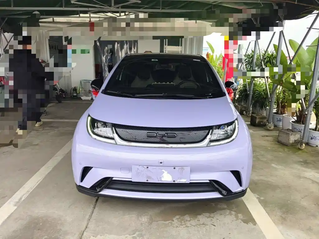 BYD Dolphin — миниатюра 3