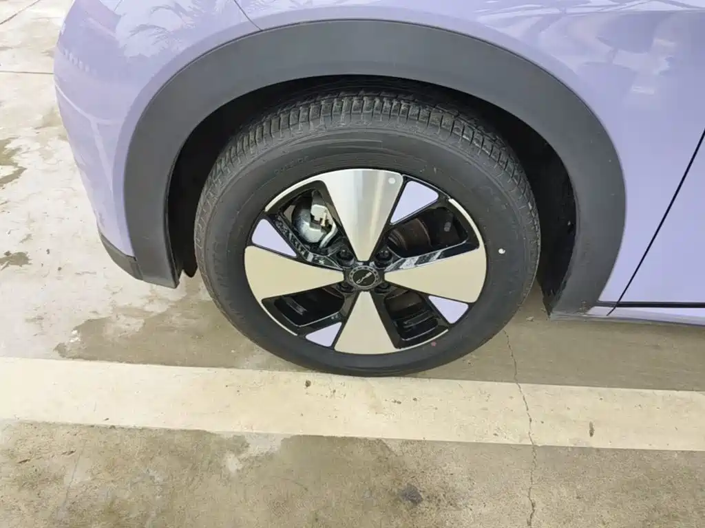 BYD Dolphin — миниатюра 23