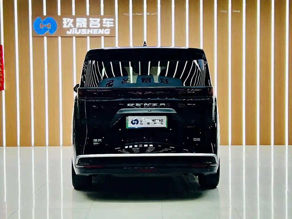 Denza Denza D9 — миниатюра 10