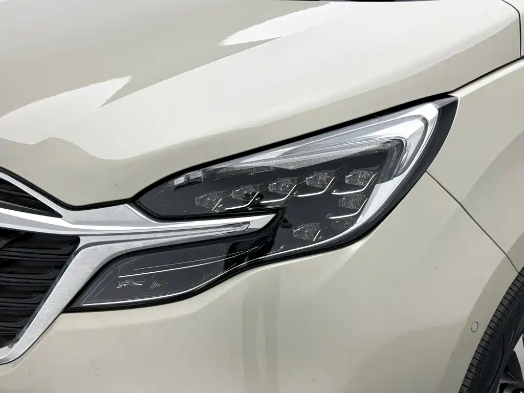 Buick GL8 — миниатюра 24