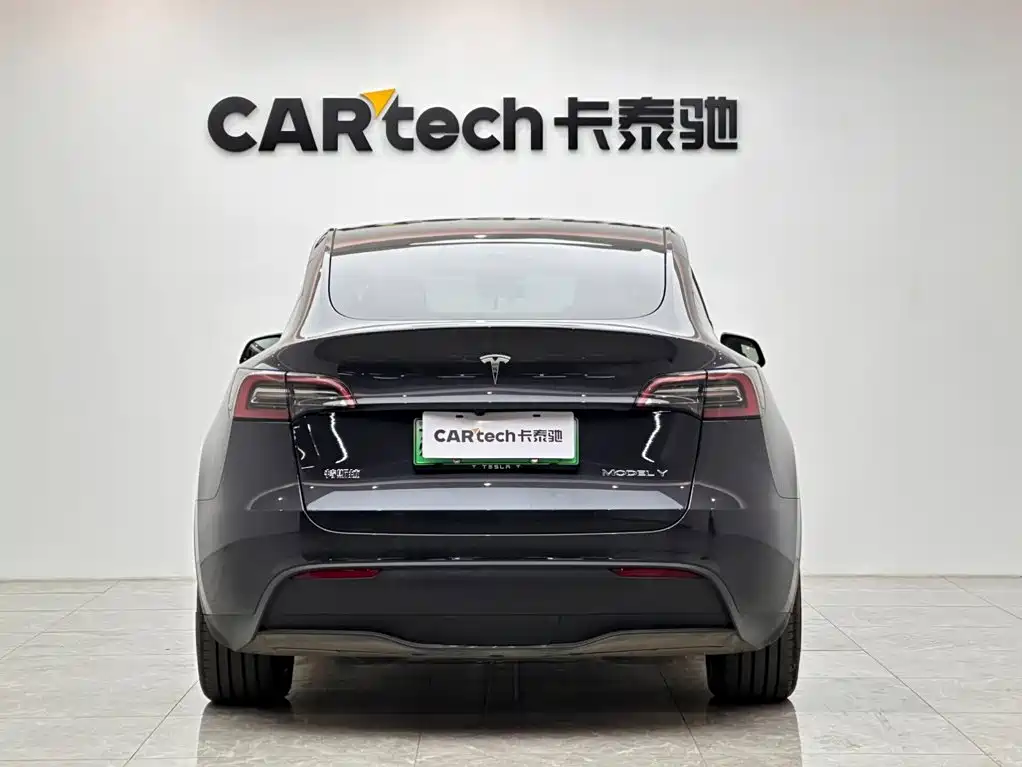 Tesla Model Y — миниатюра 4