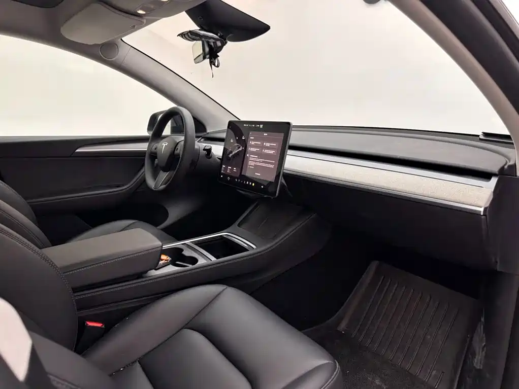 Tesla Model Y — миниатюра 11