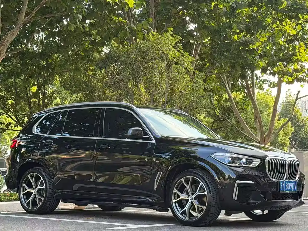 BMW X5 — миниатюра 3