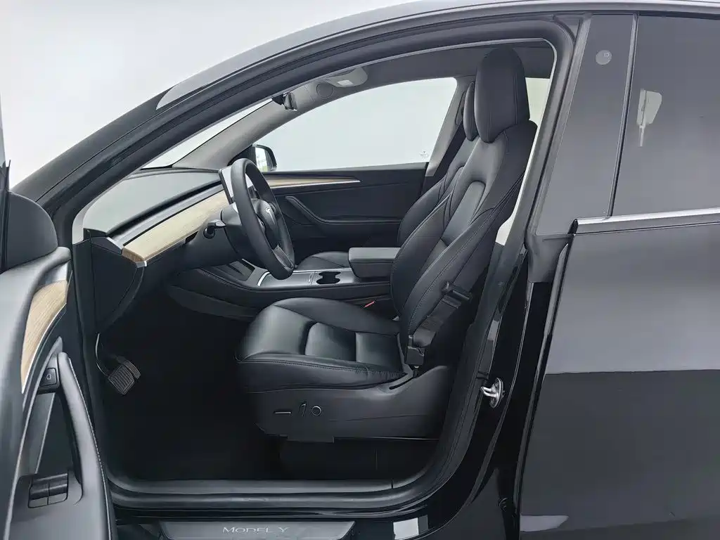 Tesla Model Y — миниатюра 10