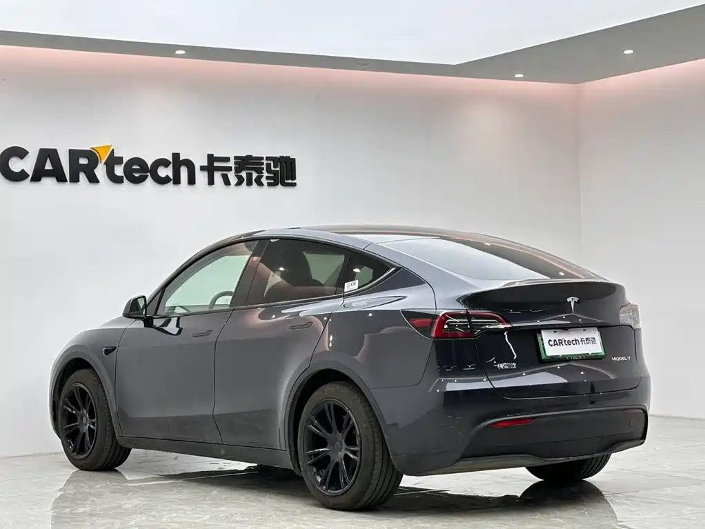 Tesla Model Y — миниатюра 3