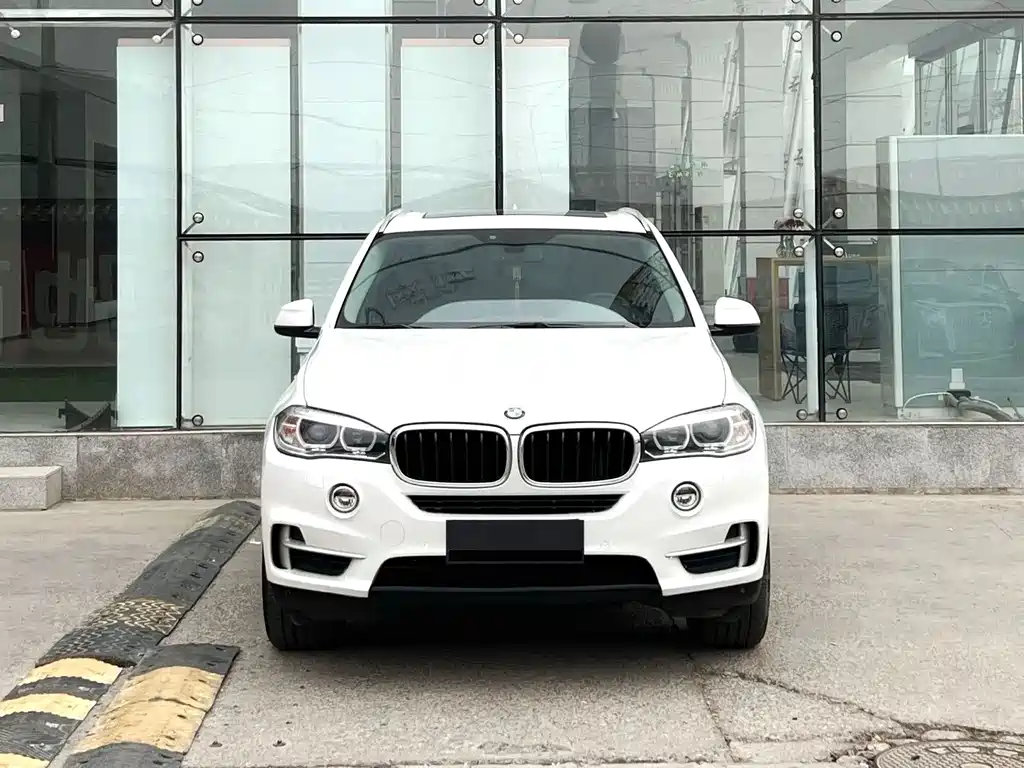 BMW X5 (Import) — миниатюра 2