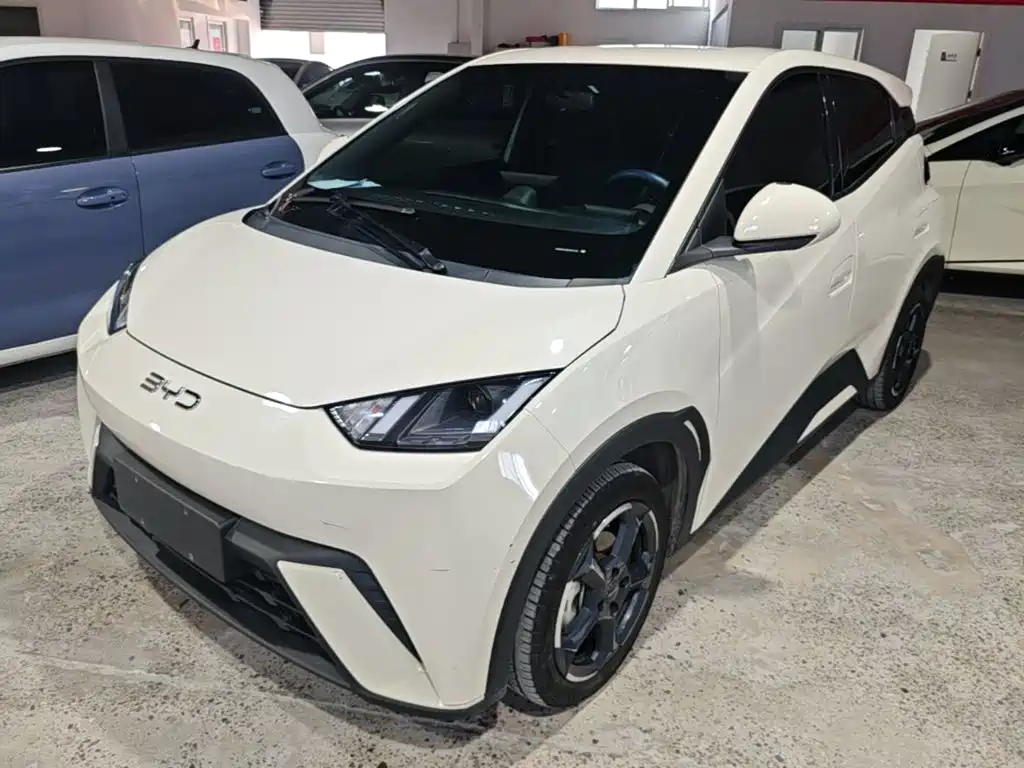 BYD Seagull