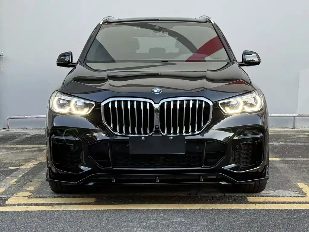 BMW X5 — миниатюра 2