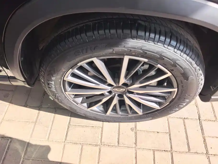 Chery Tiggo 8 PRO — миниатюра 6