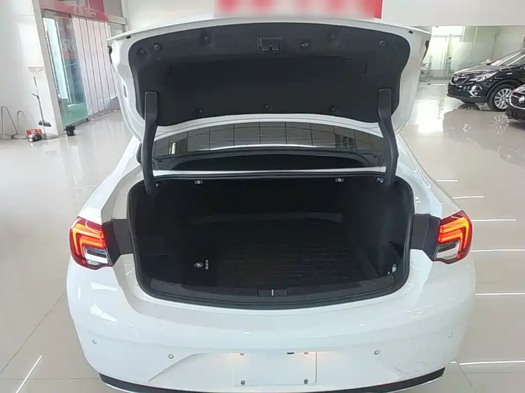 Buick Regal — миниатюра 19