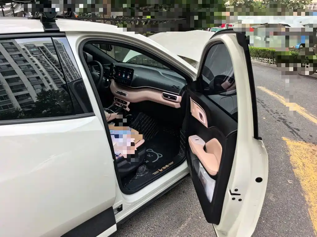 BYD Seagull — миниатюра 18