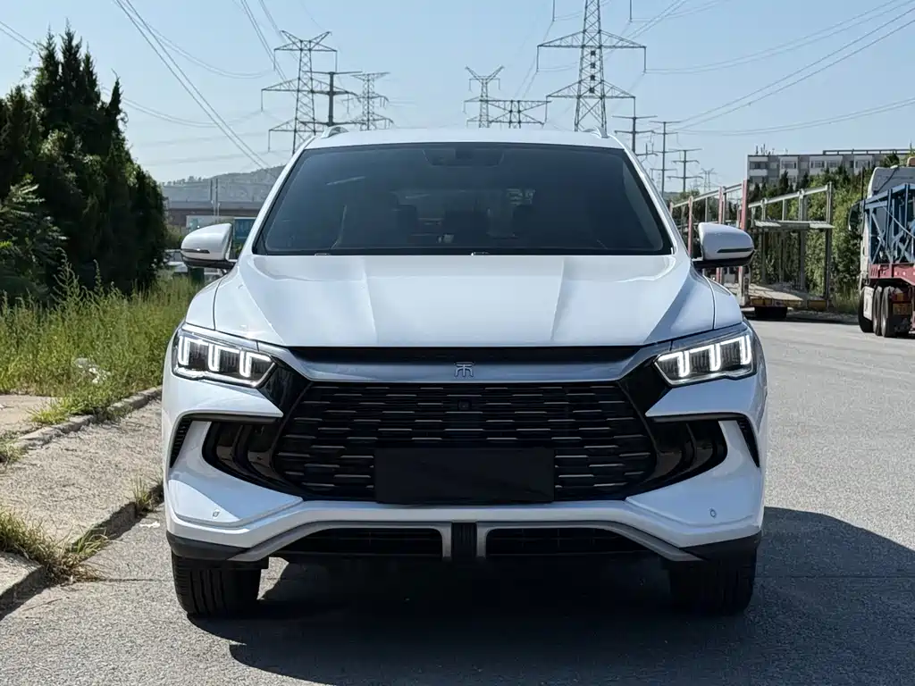 BYD Pro New Energy — миниатюра 2