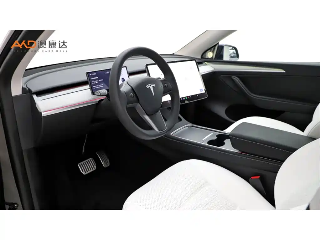 Tesla Model Y — миниатюра 6