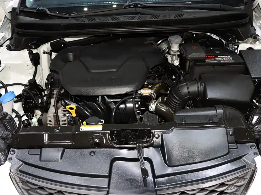 Hyundai Elantra Langdong 1.6L Auto Premium Type, фото 20