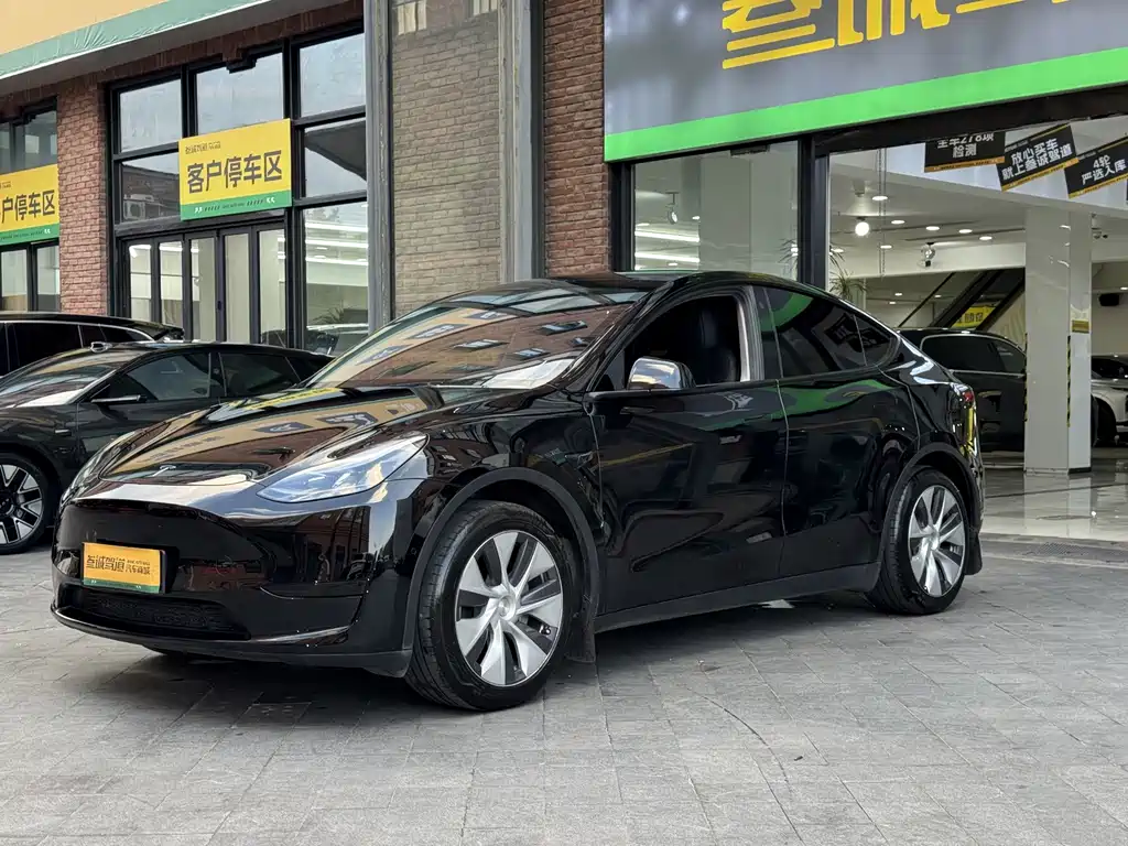 Tesla Model Y — миниатюра 4