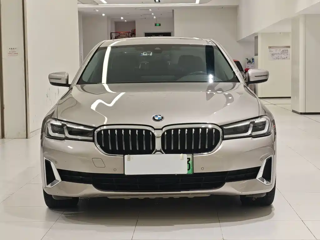 BMW 5 Series New Energy — миниатюра 3