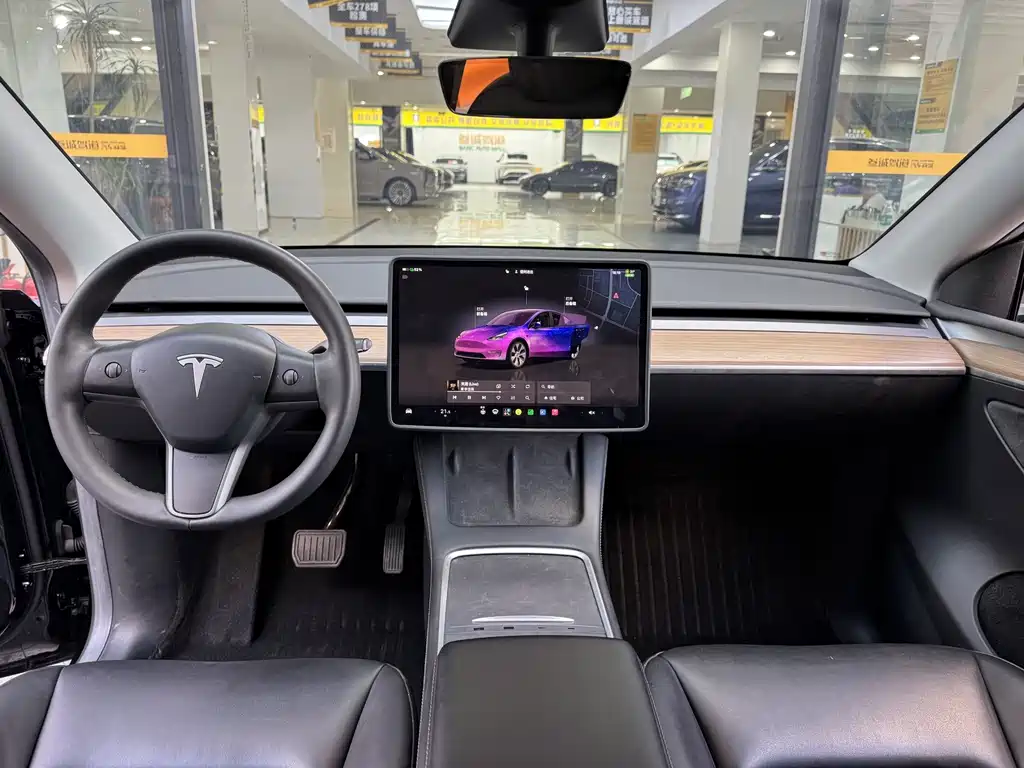 Tesla Model Y — миниатюра 10