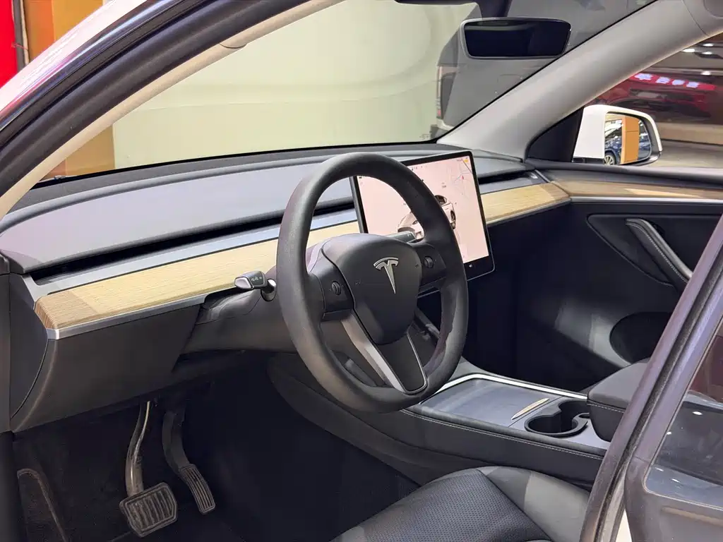 Tesla Model Y — миниатюра 10