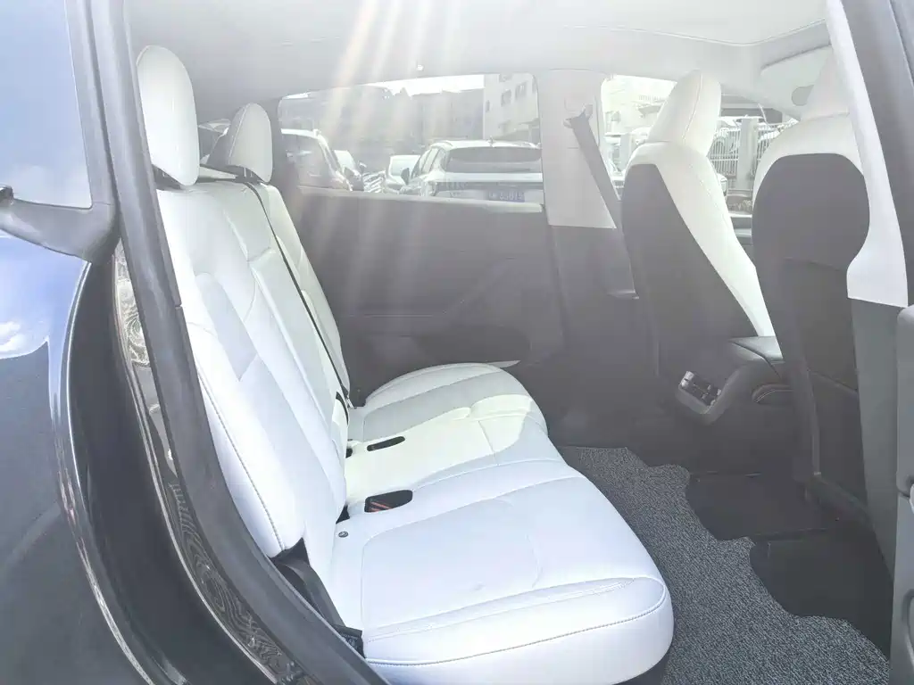 Tesla Model Y — миниатюра 17