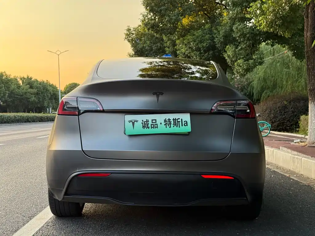 Tesla Model Y — миниатюра 4