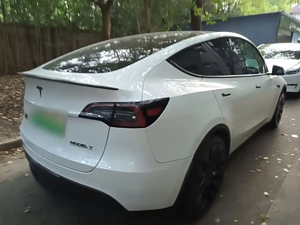 Tesla Model Y — миниатюра 7